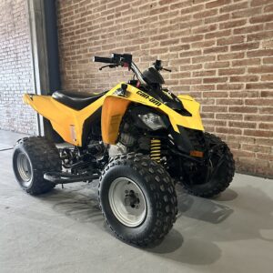 CANAM DS 250